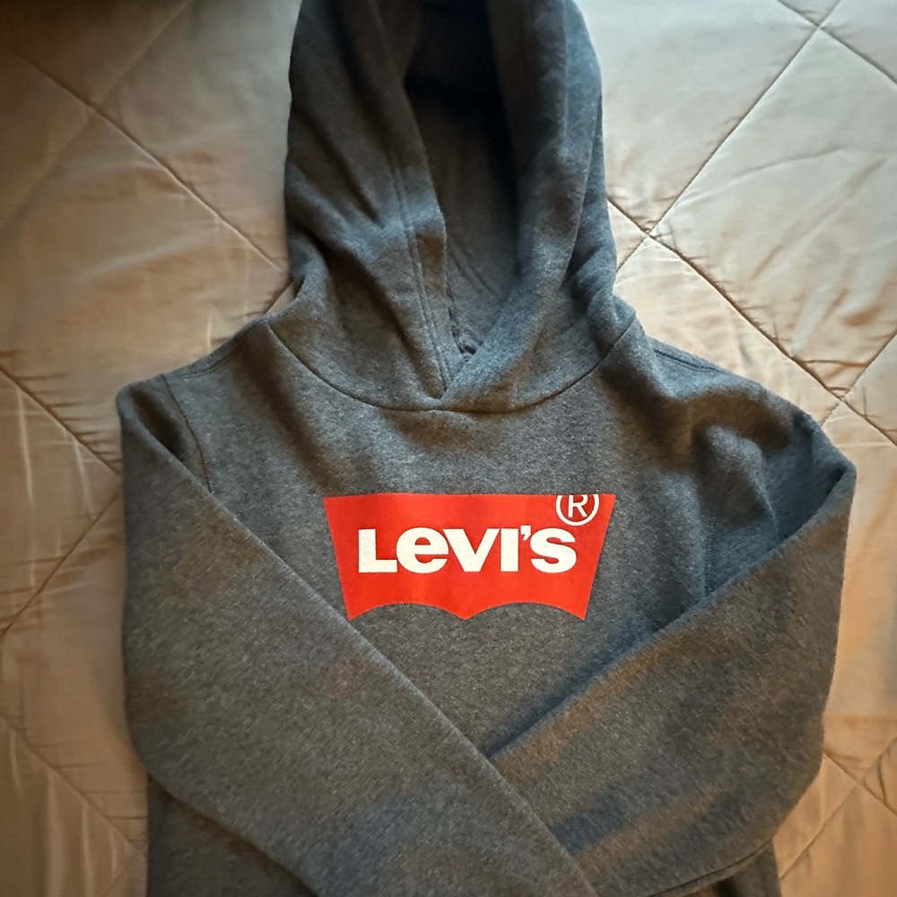 Levi’s grey fleece hoodie kids